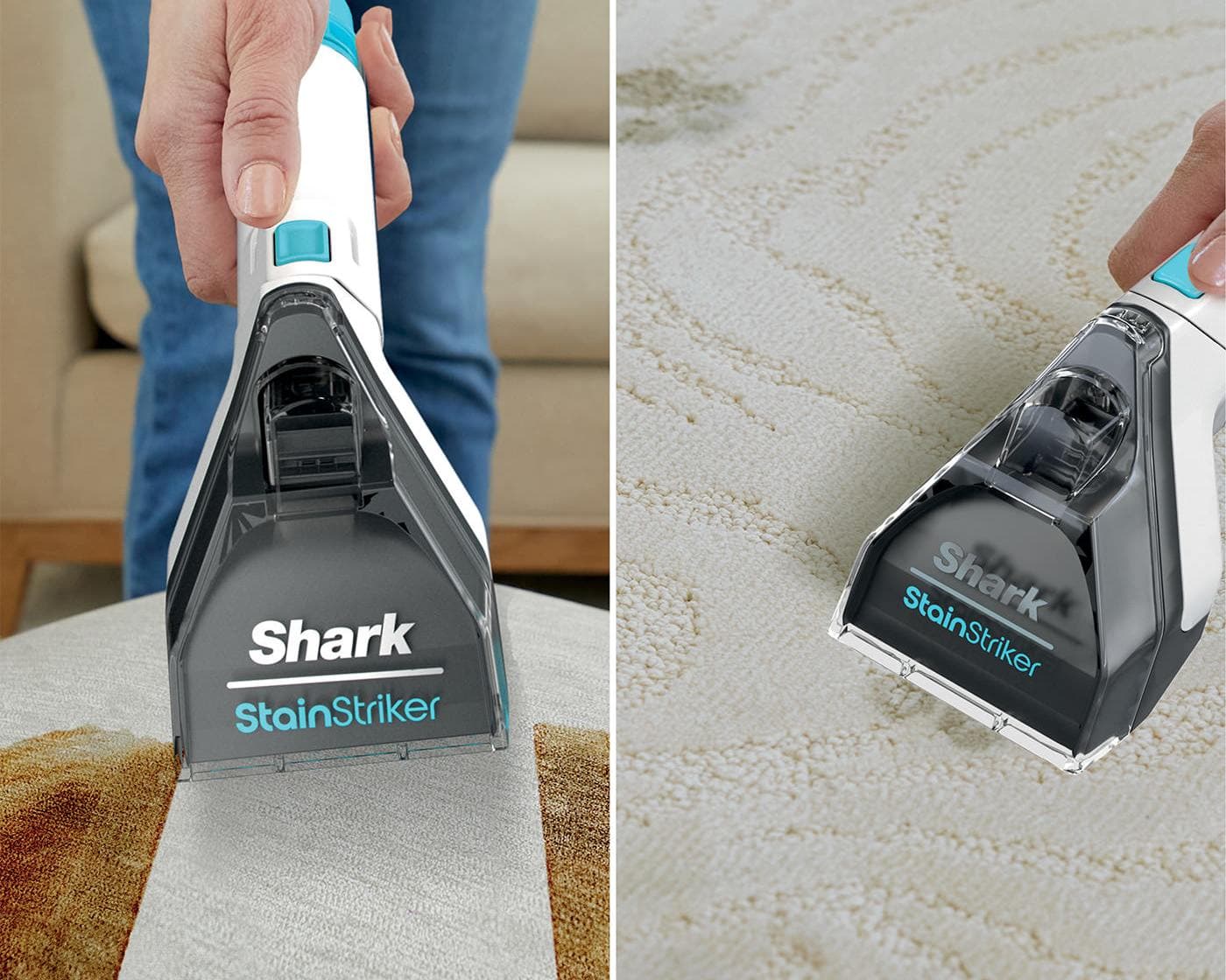 Shark StainStriker entfernt Flecken auf einem Teppich und einem Läufer